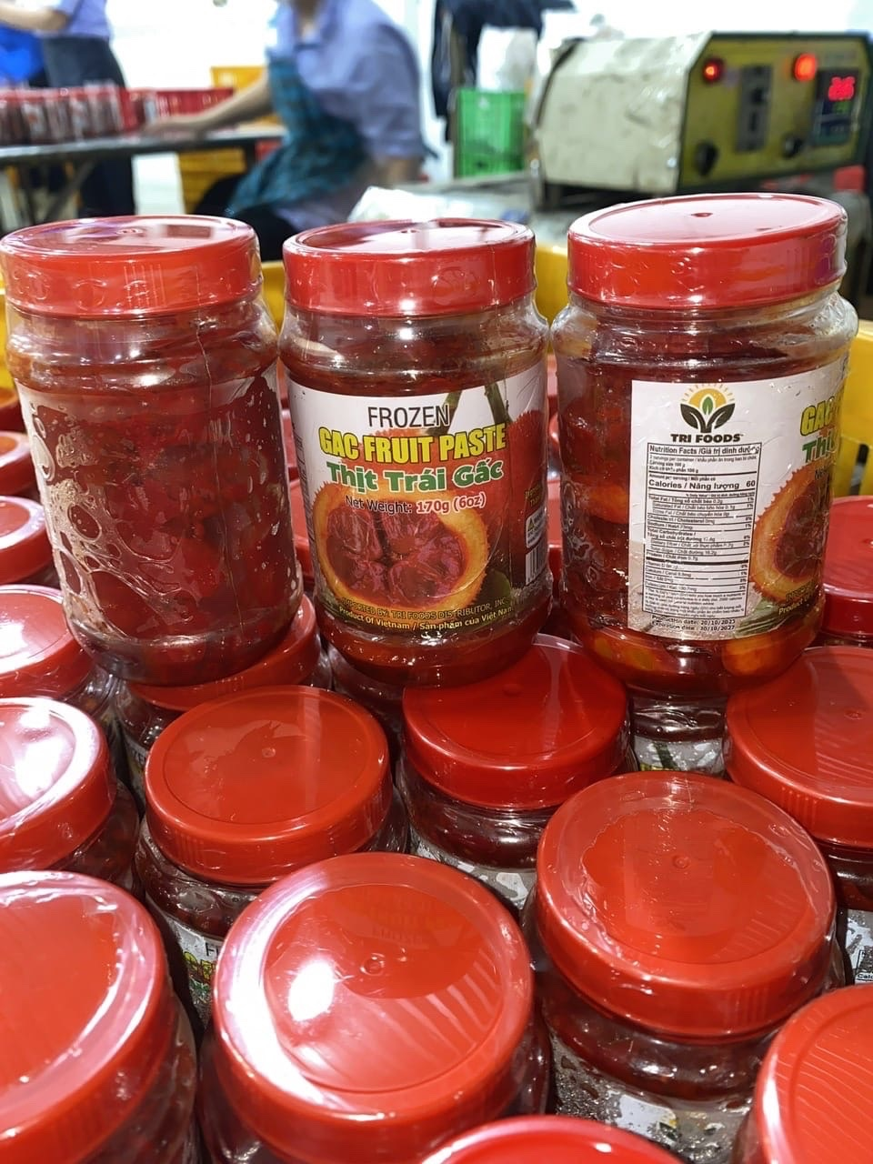 Frozen Gac Fruit Paste (Thịt Trái Gấc Đông Lạnh)