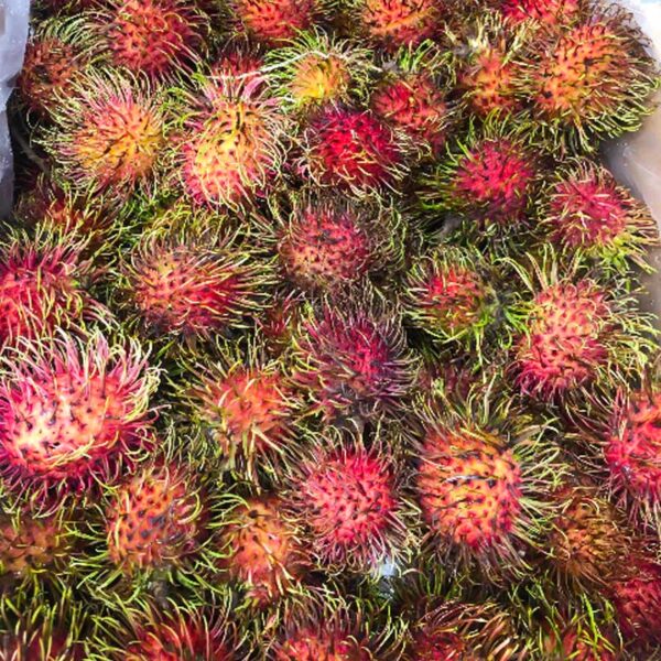 Rambutan (chom chom)